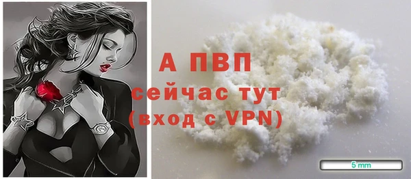 сатива Коряжма