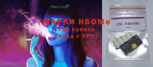 сатива Коряжма