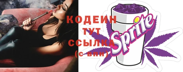 ГАЛЛЮЦИНОГЕННЫЕ ГРИБЫ Костерёво