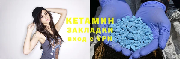 сатива Коряжма