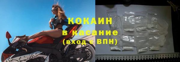 сатива Коряжма