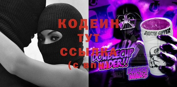 сатива Коряжма
