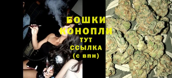 ГАЛЛЮЦИНОГЕННЫЕ ГРИБЫ Костерёво