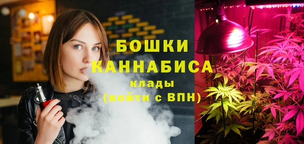 ГАЛЛЮЦИНОГЕННЫЕ ГРИБЫ Костерёво