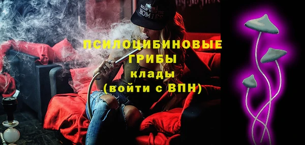 сатива Коряжма