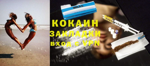 сатива Коряжма