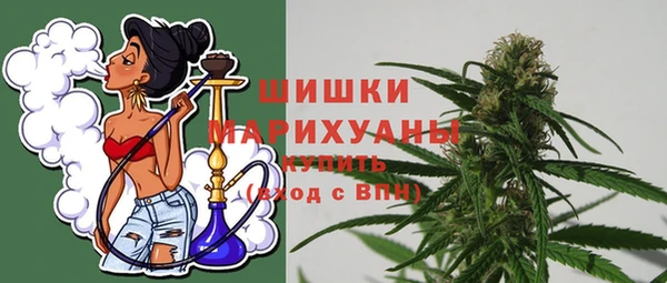 ГАЛЛЮЦИНОГЕННЫЕ ГРИБЫ Костерёво