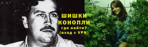 ГАЛЛЮЦИНОГЕННЫЕ ГРИБЫ Костерёво