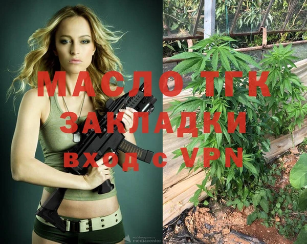 сатива Коряжма