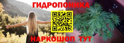 каннабис Новодвинск