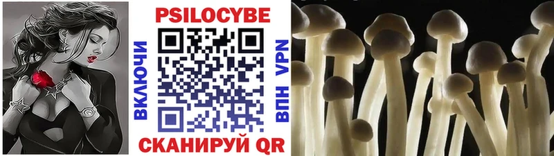 наркотики  Стрежевой  ссылка на мегу ССЫЛКА  Псилоцибиновые грибы мицелий 