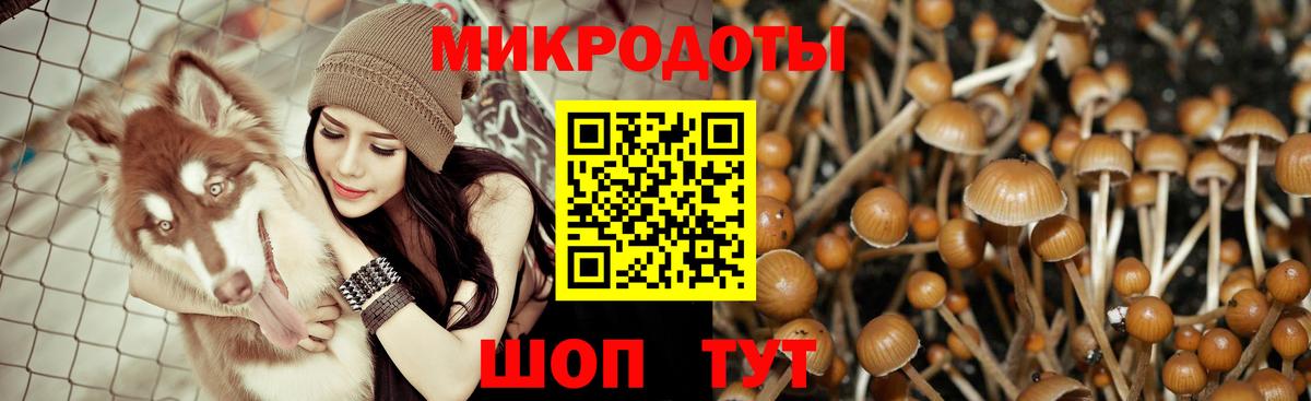 Стрежевой  Псилоцибиновые грибы MAGIC MUSHROOMS  Псилоцибиновые грибы GOLDEN TEACHER  Вход с VPN 
